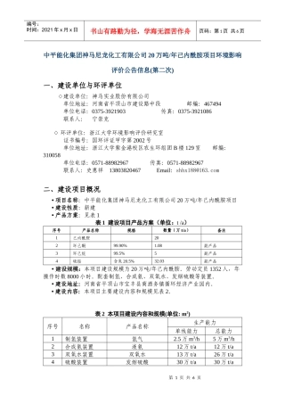 中平能化集团神马尼龙化工有限公司20万吨