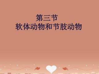 山东省龙口市诸由观镇诸由中学八年级生物上册 1.3 软体动物和节肢动物课件 （新版）新人教版