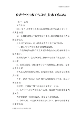 仪表专业技术工作总结_技术工作总结.doc