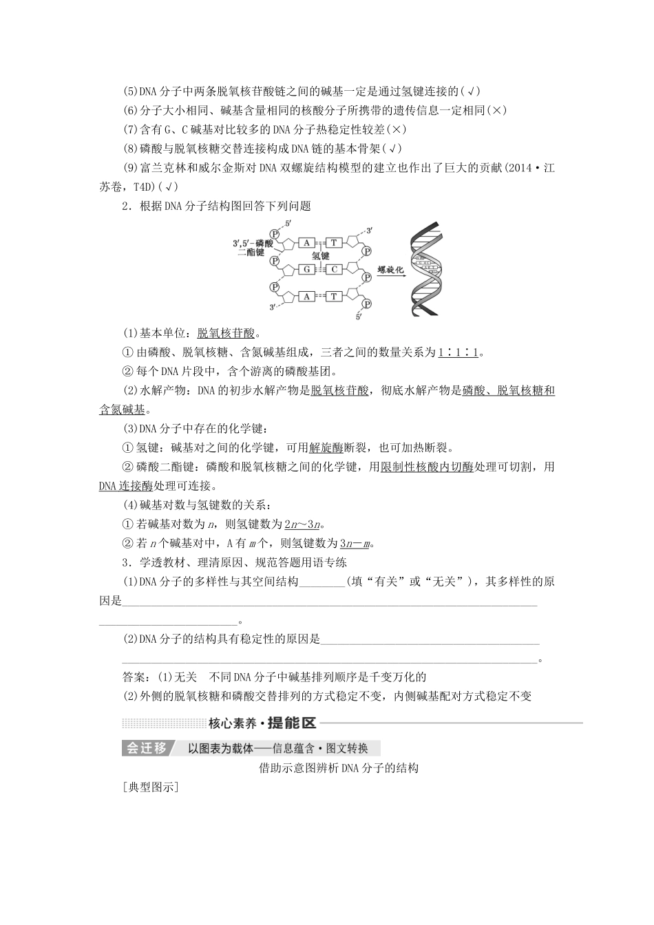 （新课改省份专用）高考生物一轮复习 第六单元 第二讲 DNA分子的结构、复制与基因的本质讲义（含解析）-人教版高三全册生物教案_第2页