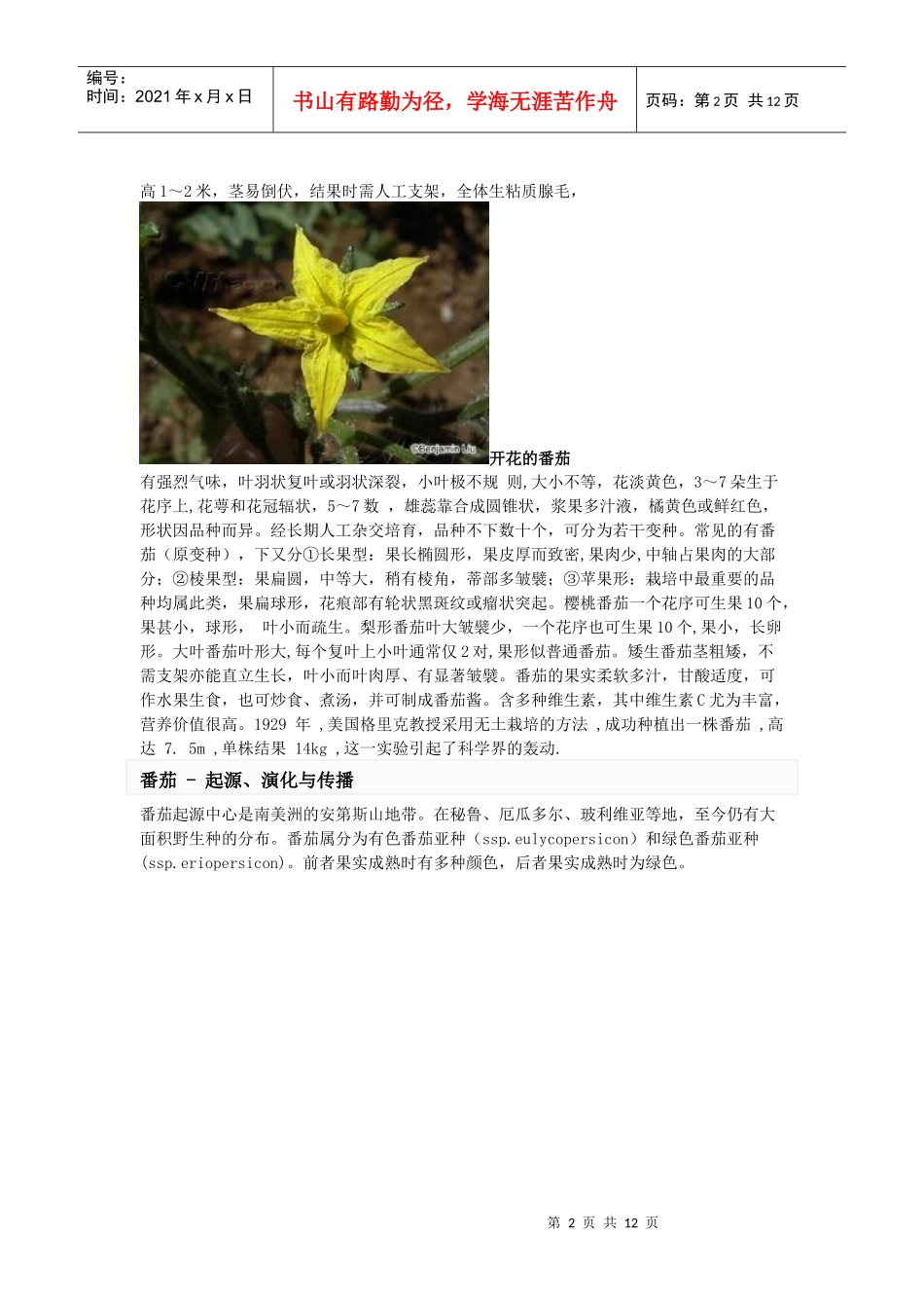 健康必读-番茄 含有类阿司匹林 防治心血管病 具有抗癌功效_第2页