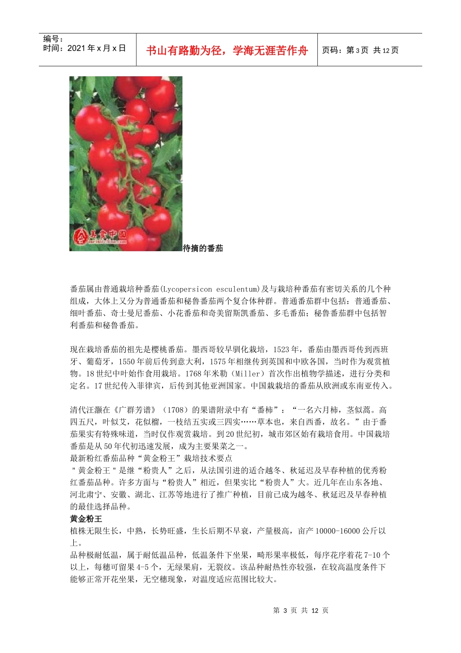 健康必读-番茄 含有类阿司匹林 防治心血管病 具有抗癌功效_第3页
