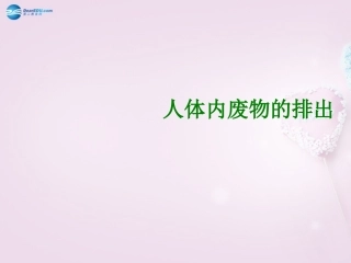 山东省泰安新泰市七年级生物下册 4.5 人体内废物的排出课件 新人教版