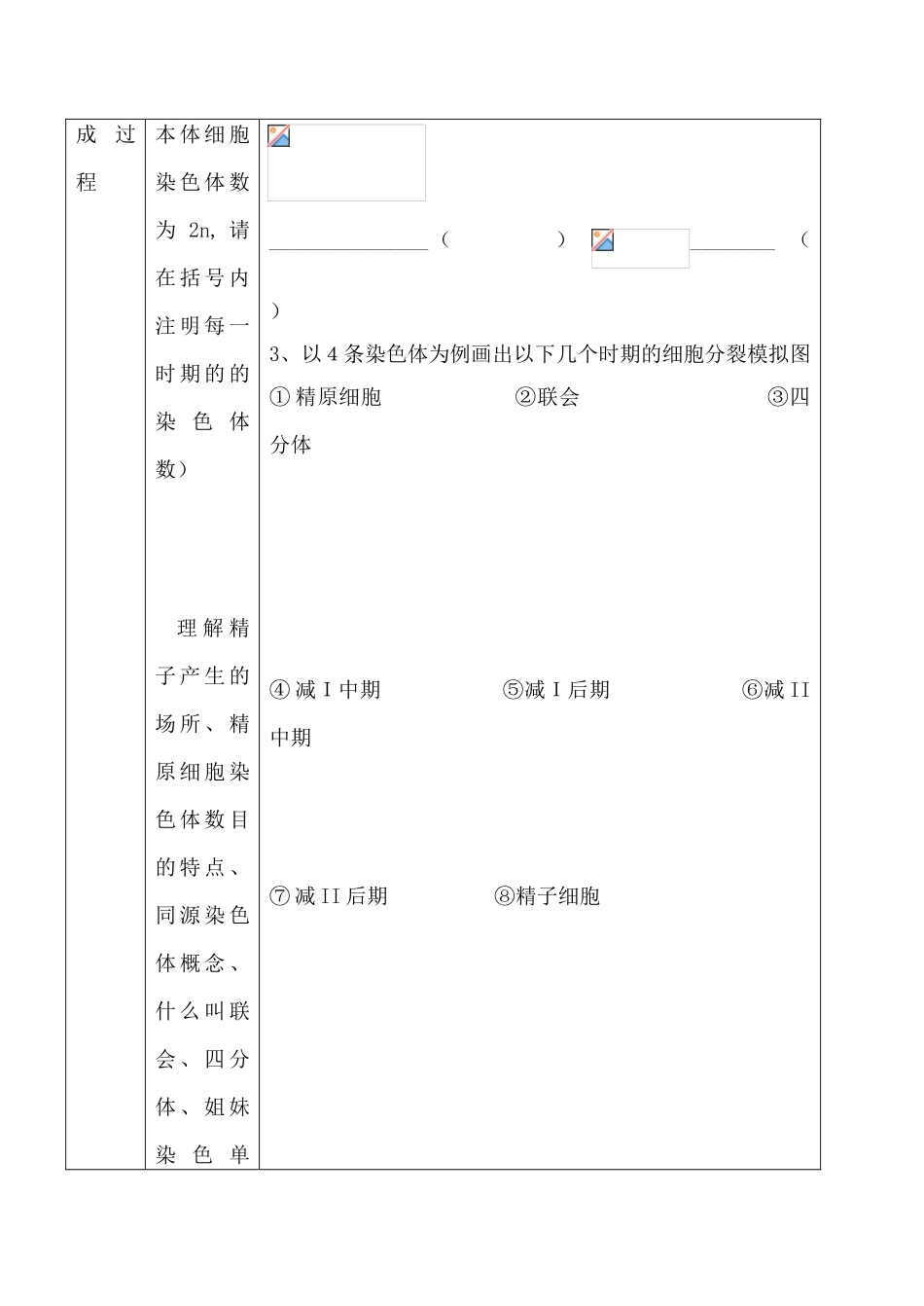高中生物人教版必修2减数分裂和受精作用1_第2页