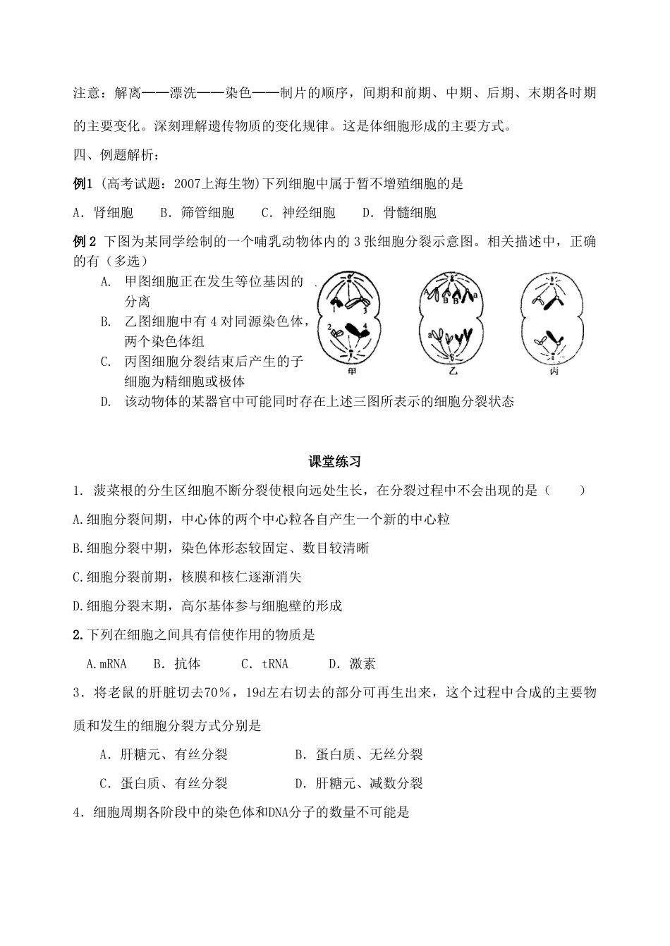 高三生物 专题三 细胞增殖、衰老、凋亡教案_第3页