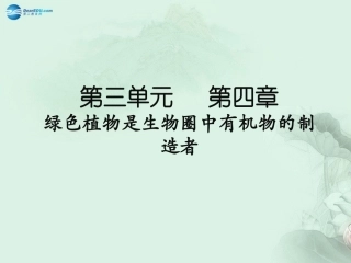 七年级生物上册 3.4 绿色植物是生物圈中有机物的制造者课件 （新版）新人教版
