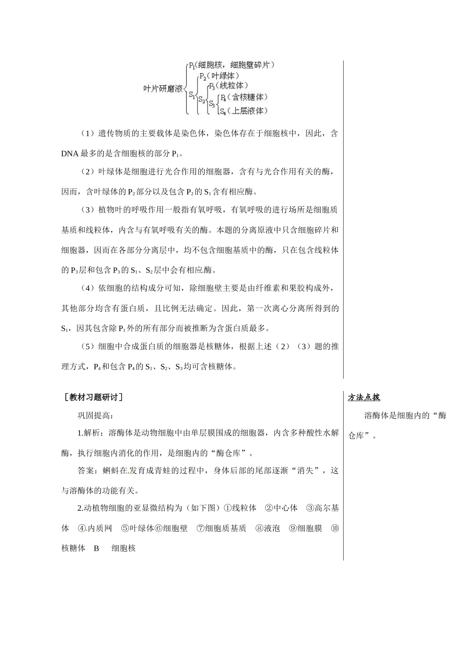 高中生物：1.2.2《细胞的基本结构》教案（1）（中图版必修1）_第3页