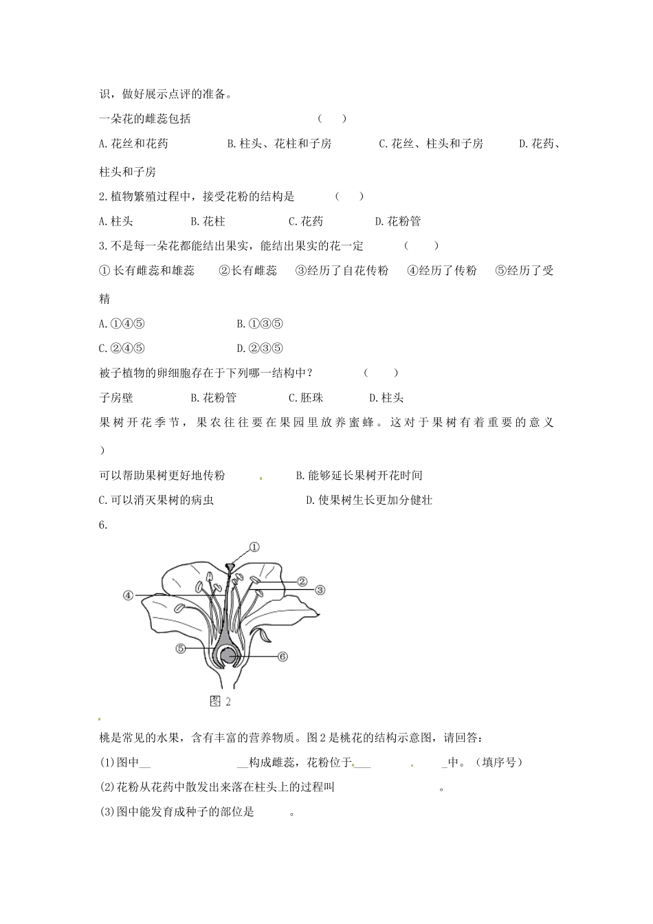 七年级生物上册 3.2.3 开花和结果导学案（无答案）（新版） 新人教版_第2页