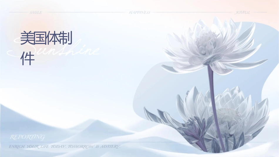 美国统计体制课稿课件_第1页