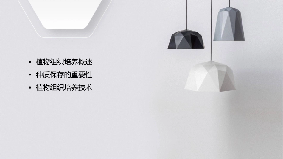 植物组织培养 种质保存护理课件_第2页