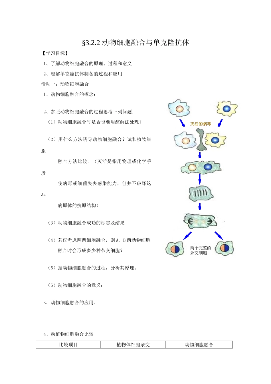 动物细胞融合和单克隆抗体_第1页