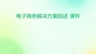 电子商务解决方案综述 课件