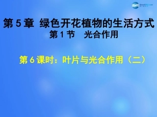 七年级生物上册 第5章 第1节 光合作用课件6 北师大版