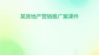 某房地产营销推广案课件