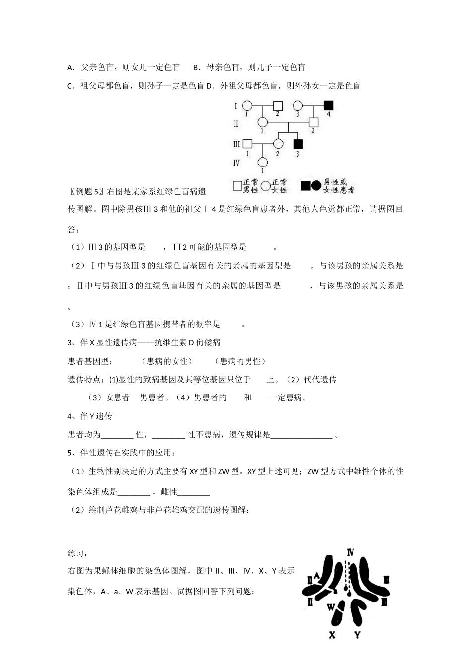 高二生物生物：2.3《伴性遗传》教案2新人教版_第3页