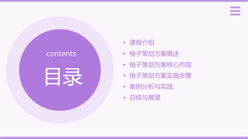 柚子策划方案课件_第2页