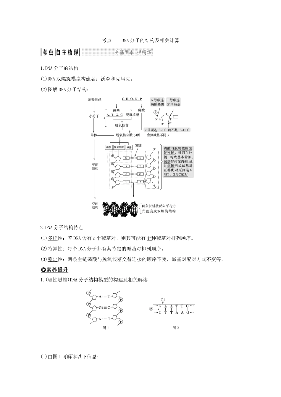 （鲁京津琼）高考生物总复习 第17讲 DNA 的结构、复制及基因的本质教案-人教版高三全册生物教案_第2页