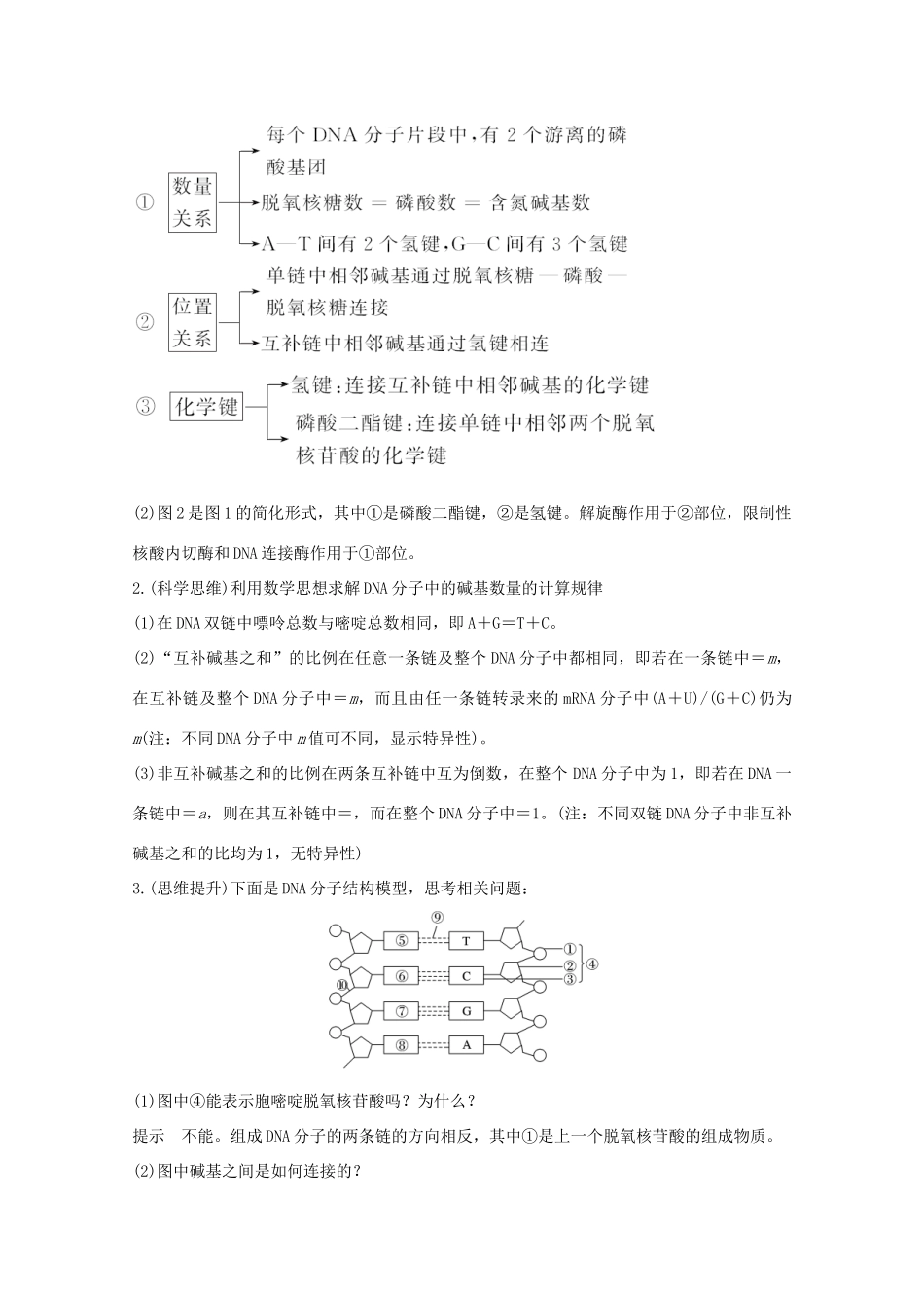 （鲁京津琼）高考生物总复习 第17讲 DNA 的结构、复制及基因的本质教案-人教版高三全册生物教案_第3页