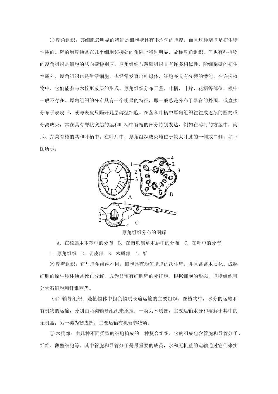 高中生物竞赛辅导讲座 第一讲植物形态解剖_第3页