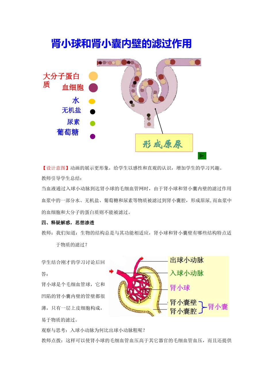 七年级生物下册 第3单元 第4章 第1节 尿液的形成和排出（第2课时）教案1 （新版）济南版_第3页