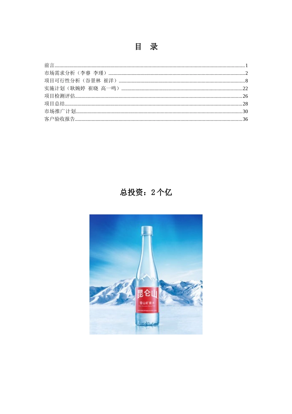 IO鸡尾酒有限公司企划案_第3页