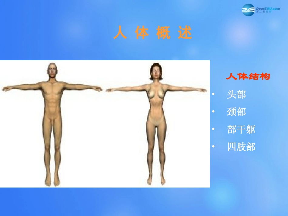 七年级生物下册 第八章 第三节 人体概述课件3 （新版）苏教版_第1页