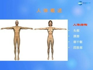 七年级生物下册 第八章 第三节 人体概述课件3 （新版）苏教版