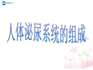 七年级生物下册 第十一章 第一节 人体泌尿系统的组成课件2 （新版）苏教版