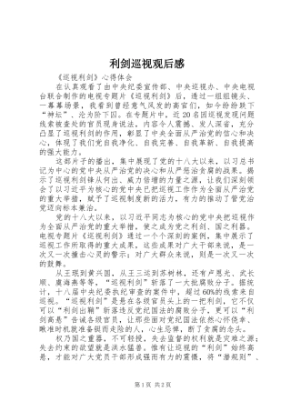 利剑巡视观后感 