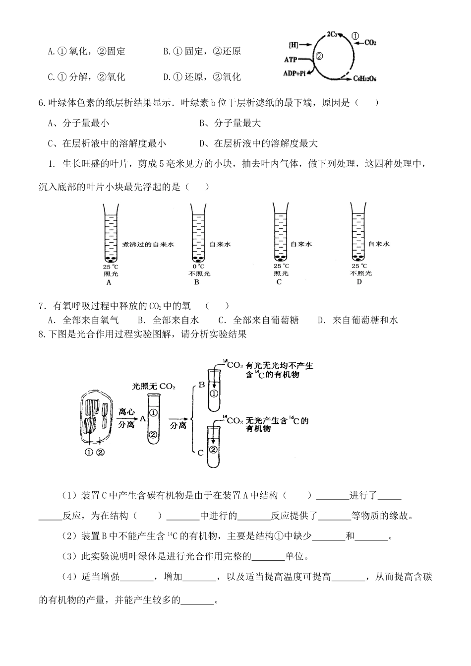 高中生物 光合作用和细胞呼吸复习教案 苏教版必修1_第2页