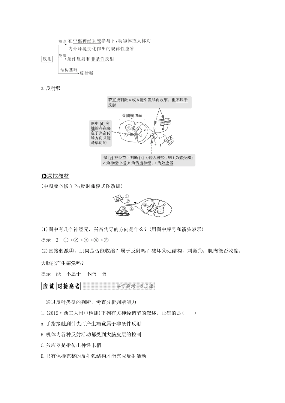 高考生物总复习 第23讲 神经调节教案 中图版-中图版高三全册生物教案_第2页