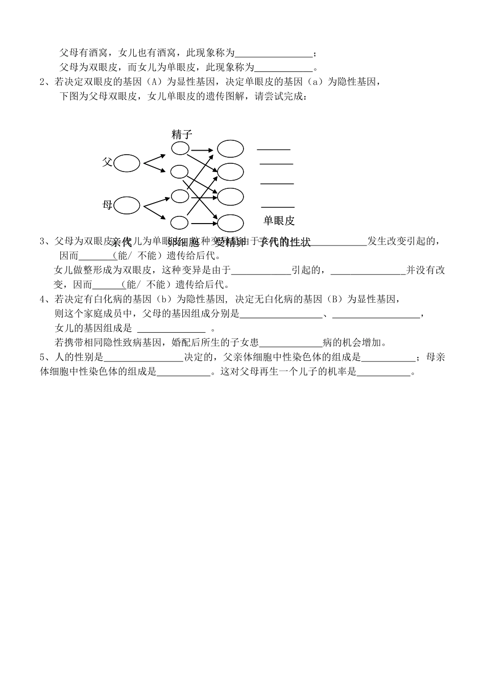 山东省泰安市新泰八年级生物下册 第二章 生物的遗传与变异复习教案 新人教版_第3页