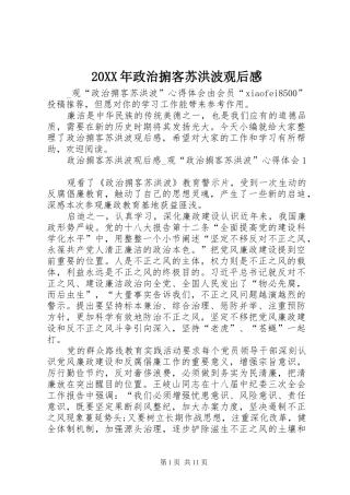 20XX年政治掮客苏洪波观后感