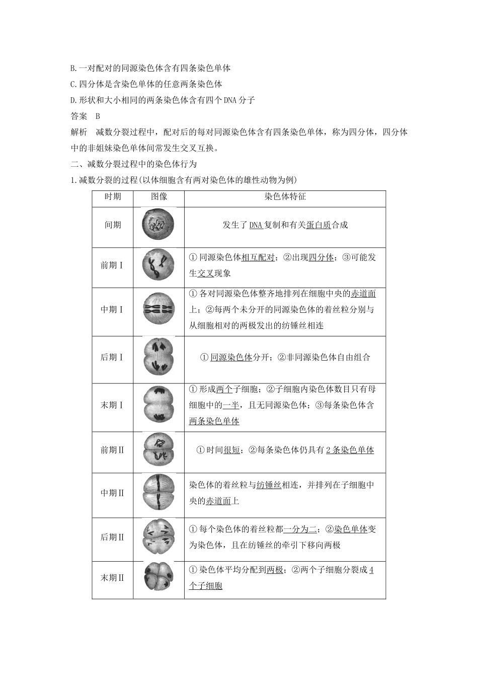 高中生物 第二章 染色体与遗传 第一节 减数分裂中的染色体行为（Ⅰ）教案 浙科版必修2-浙科版高中必修2生物教案_第3页