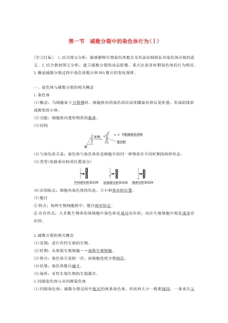 高中生物 第二章 染色体与遗传 第一节 减数分裂中的染色体行为（Ⅰ）教案 浙科版必修2-浙科版高中必修2生物教案
