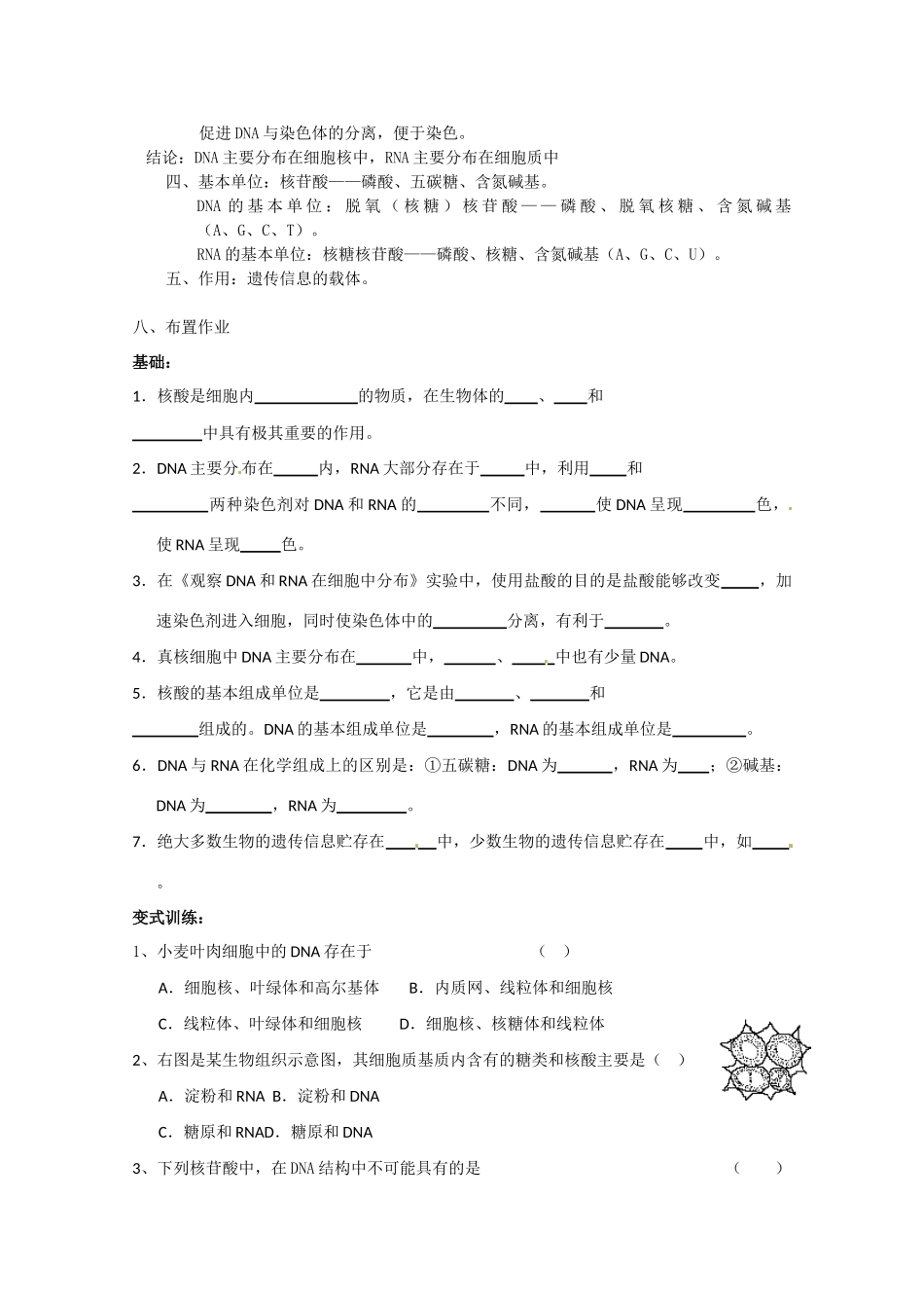 高中生物 2.3《遗传信息的携带者——核酸》教案 新人教版必修1_第3页