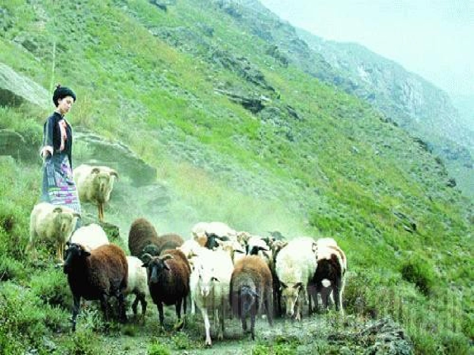 七年级地理上册 4.3 人类的居住地-聚落课件 （新版）新人教版_第3页