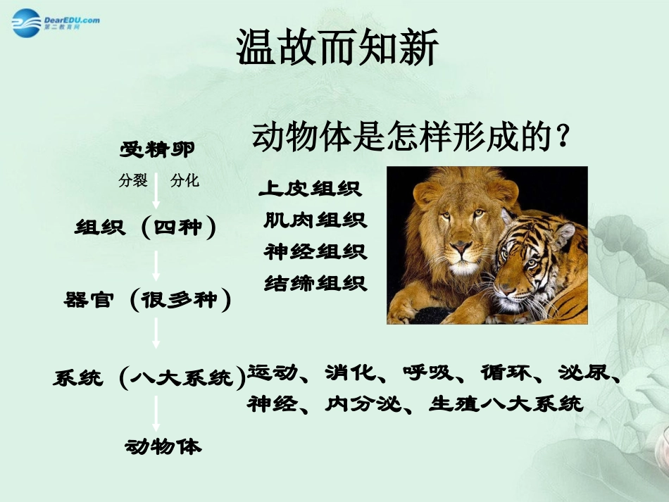七年级生物上册 2.2.3 植物体的结构层次课件 （新版）新人教版_第2页