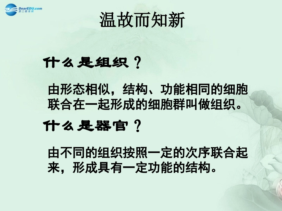 七年级生物上册 2.2.3 植物体的结构层次课件 （新版）新人教版_第3页