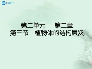 七年级生物上册 2.2.3 植物体的结构层次课件 （新版）新人教版