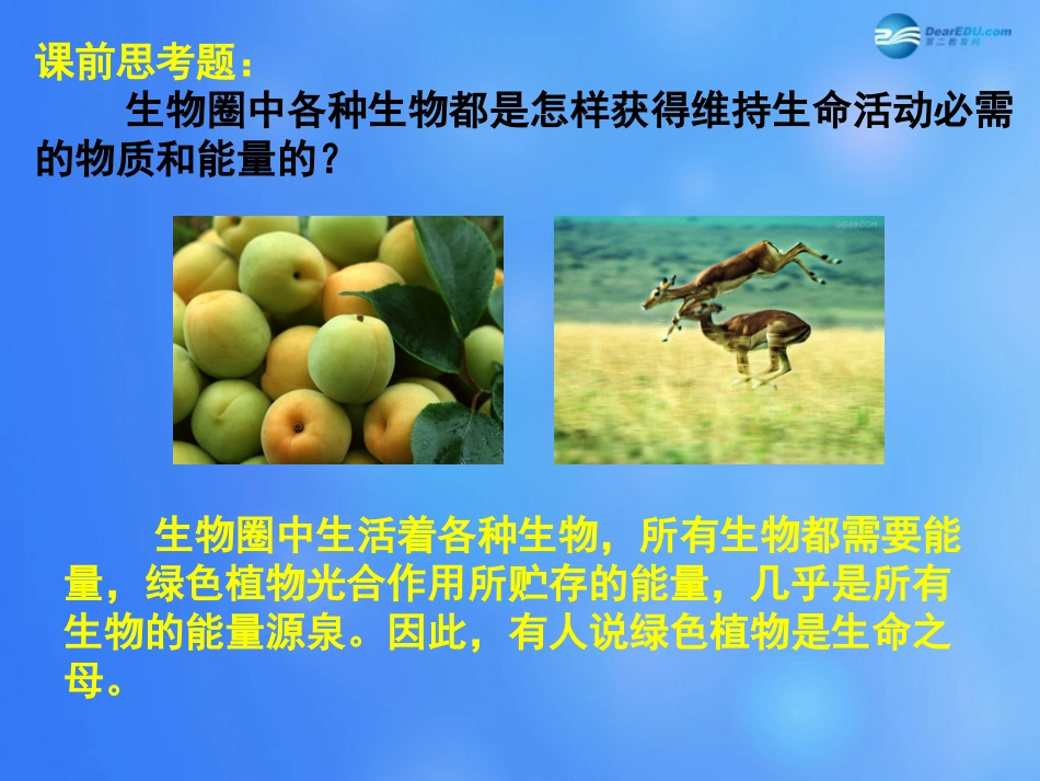 七年级生物上册 第7章 第1节 绿色植物在生物圈中的作用课件1 北师大版_第3页