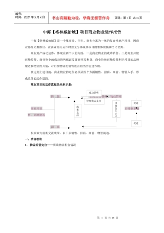 XX项目商业物业运作报告