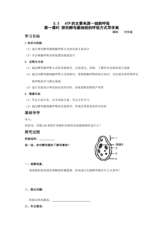 高中生物5.3   ATP的主要来源—细胞呼吸