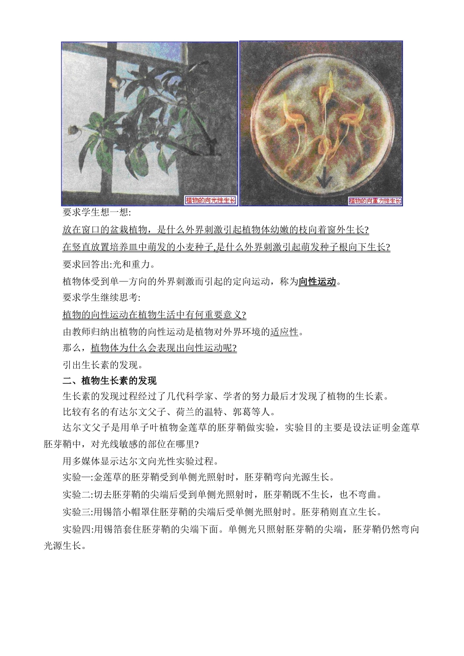 高二生物4.1 植物的激素调节教案 人教版_第3页