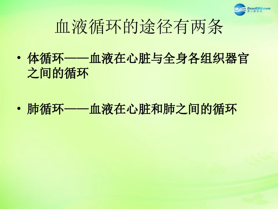 七年级生物下册 3.3.3 物质运输的途径课件 （新版）济南版_第2页