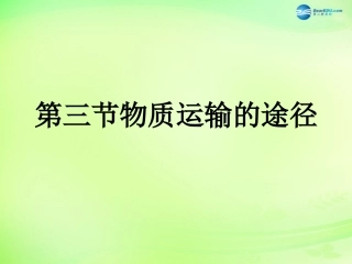 七年级生物下册 3.3.3 物质运输的途径课件 （新版）济南版