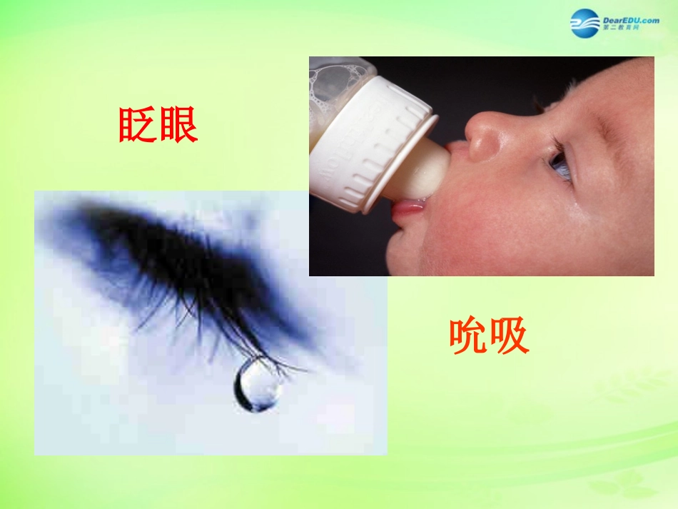 七年级生物下册 3.5.3 神经调节的基本方式课件1 （新版）济南版_第2页