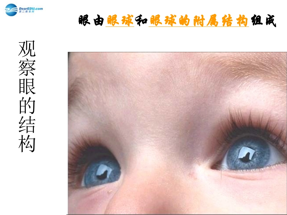 七年级生物下册 第十二章 第三节 人体感知信息课件1 （新版）苏教版_第2页