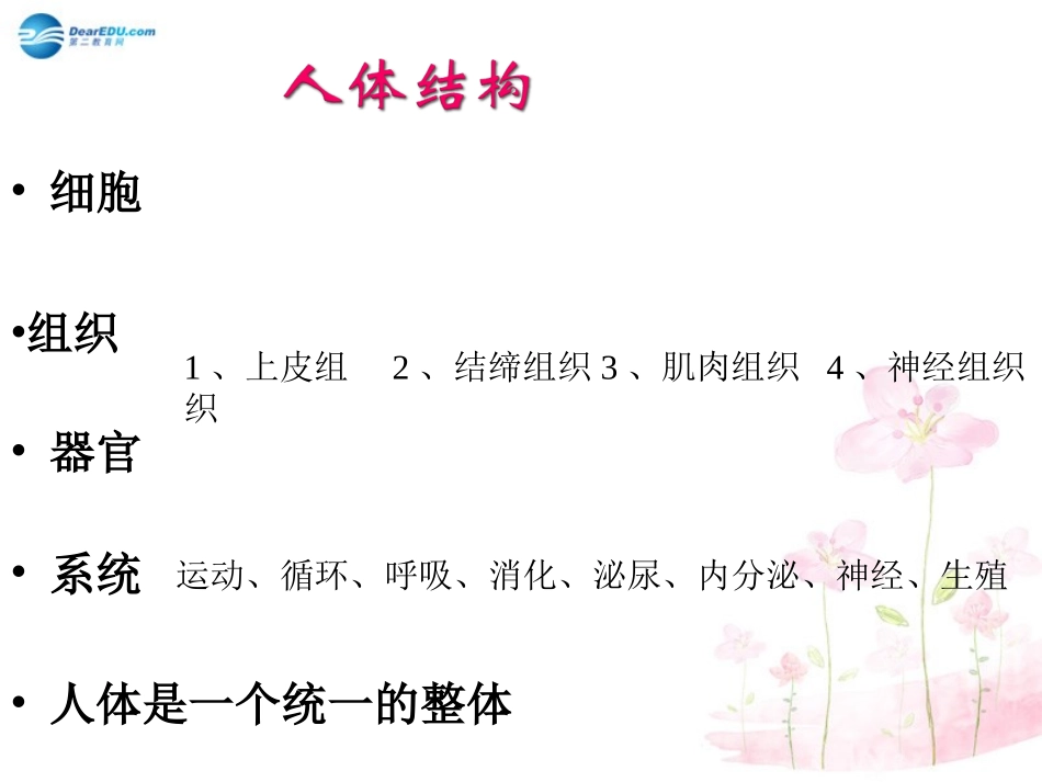 七年级生物下册 第八章 第三节 人体概述课件4 （新版）苏教版_第3页
