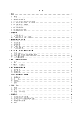xx有限责任公司年产10万吨高岭土矿技改项目可行性研究